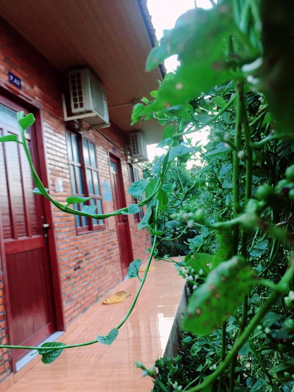 Nam Cat Tien Homestay Экстерьер фото